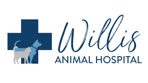 Willis Animal Hospital