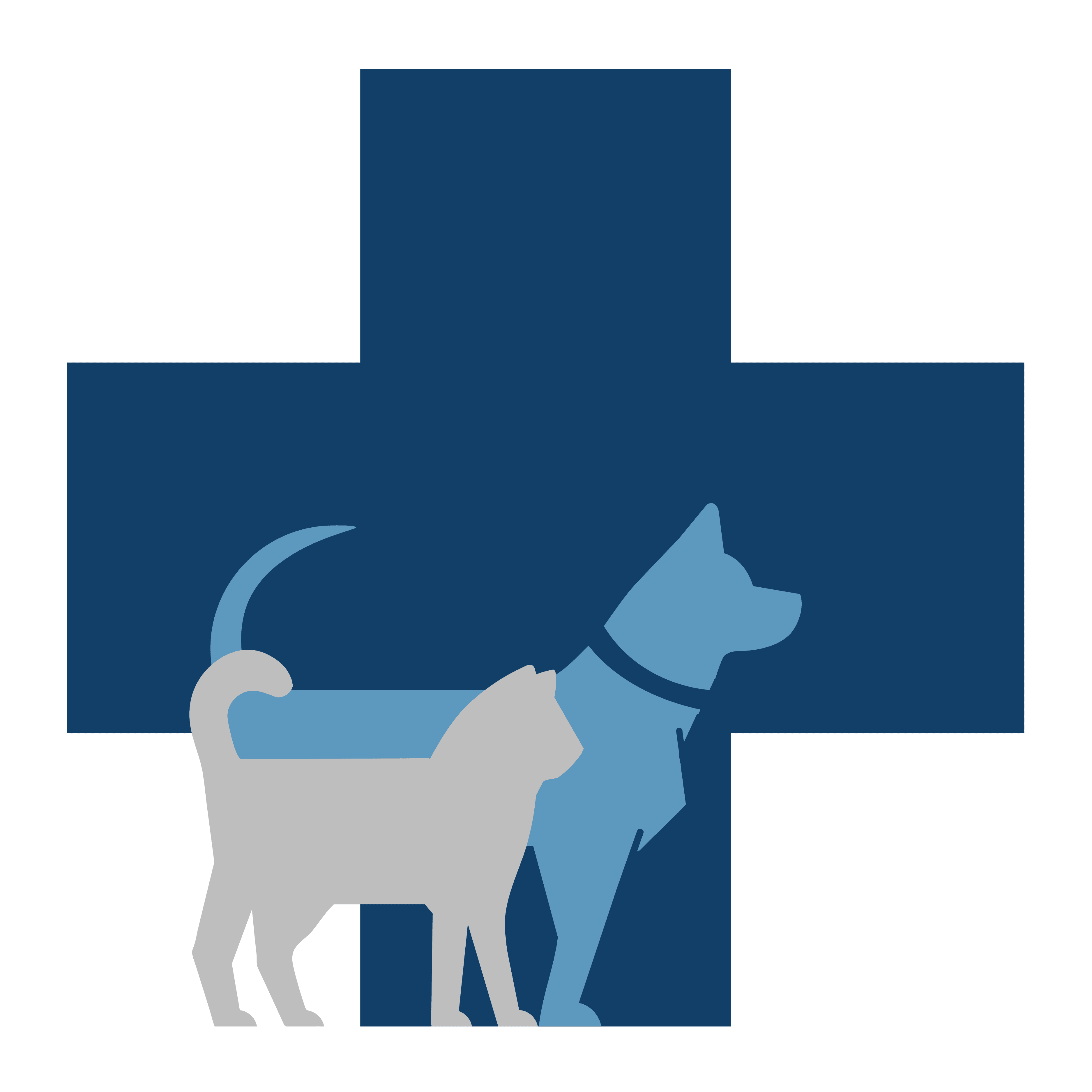 Willis Animal Hospital Logo Icon